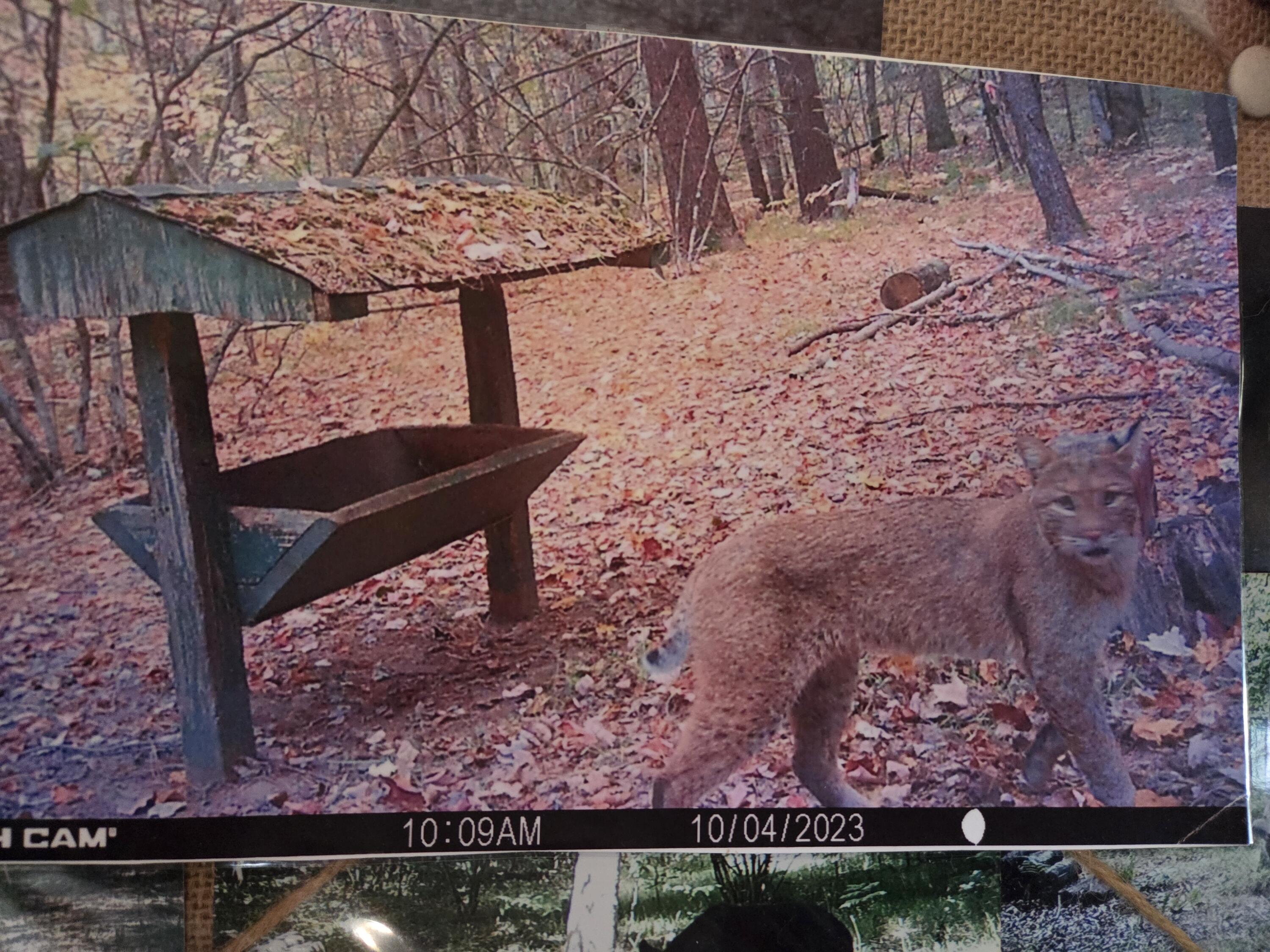 0 East Del Vandell Road Chase, MI 49623 - Photo 49 of 50 20260328_113841