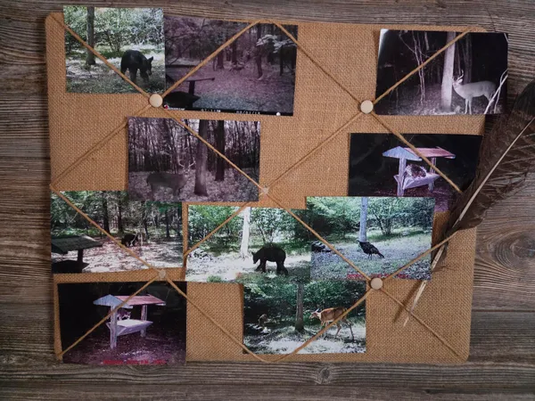 $165,000 | 0 East Del Vandell Road, Chase, MI 49623