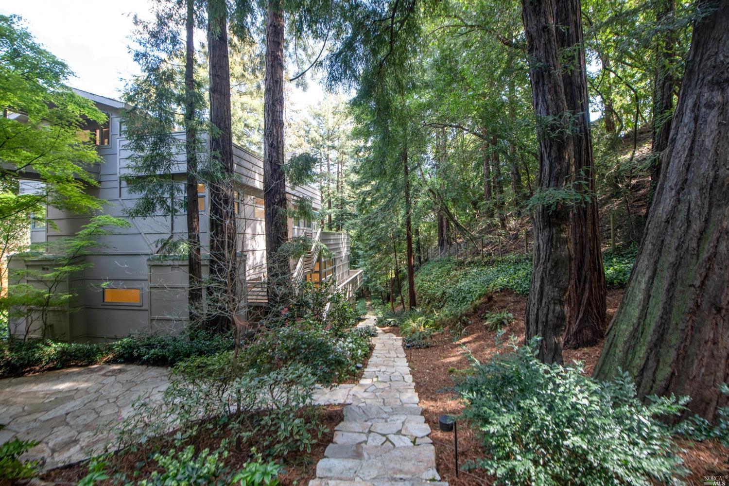 a pathway of a house with lots of green space