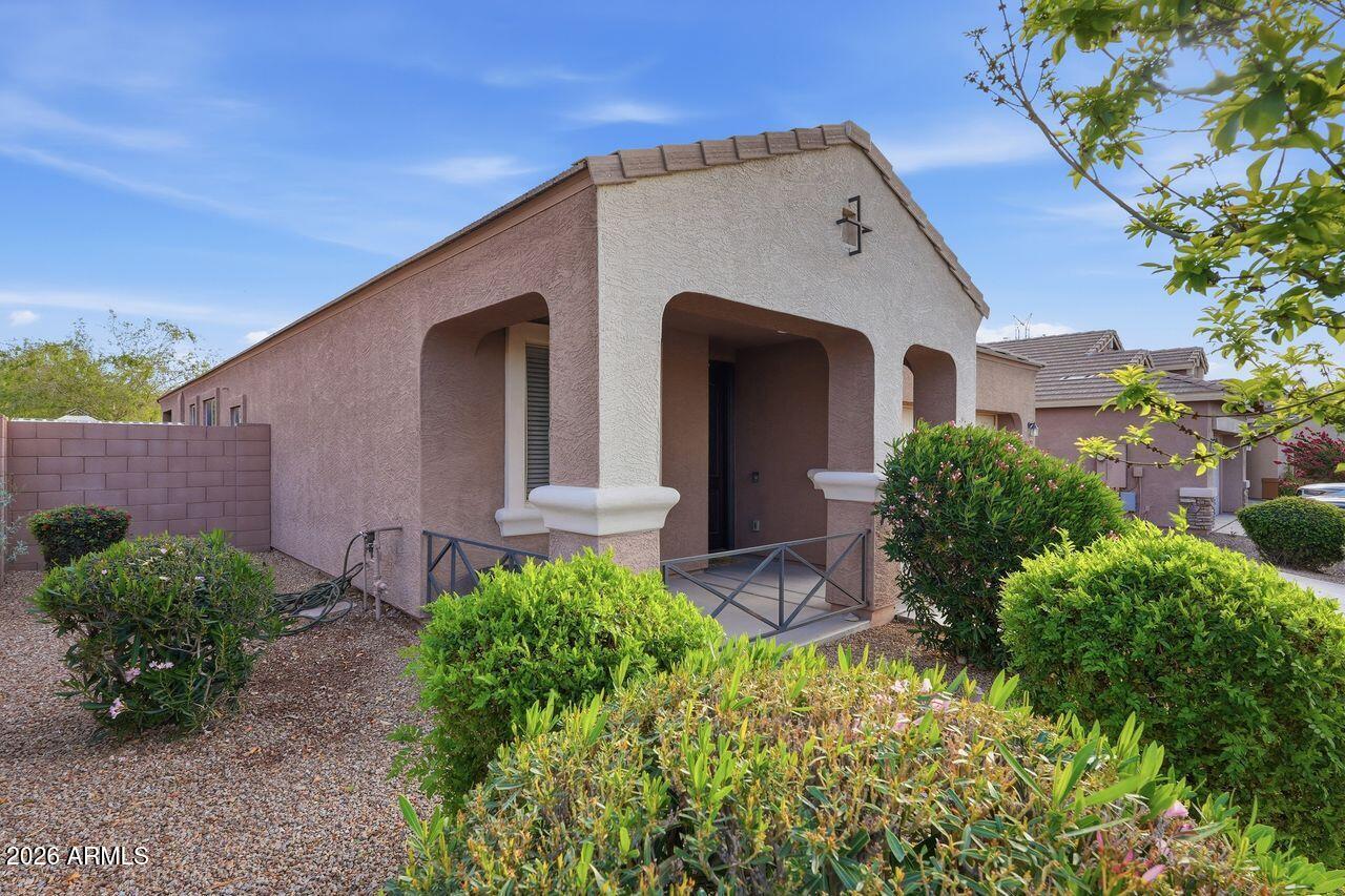 23602 West Ripple Road Buckeye, AZ 85326 - Photo 3 of 38 a front view of a house with garden