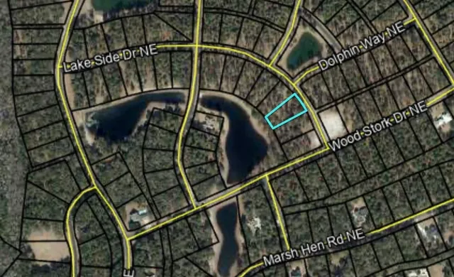 $39,900 | Lot 577 Lake Side Drive, Townsend, GA 31331