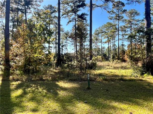 $39,900 | Lot 577 Lake Side Drive, Townsend, GA 31331
