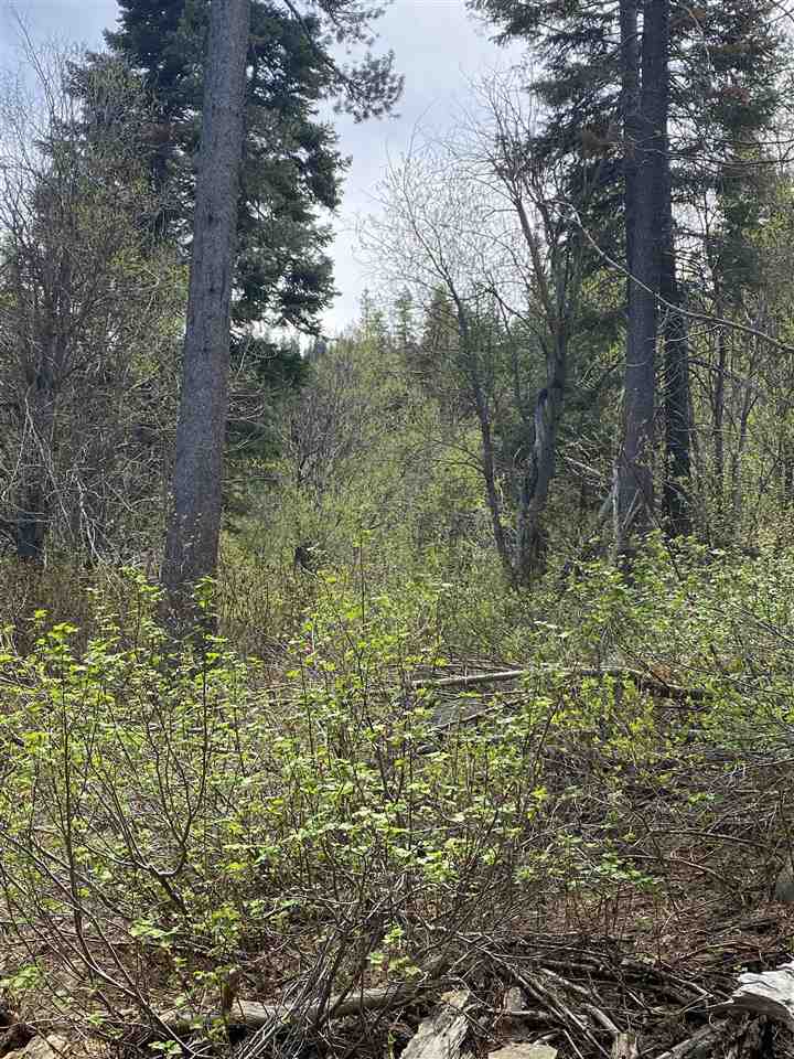 14660 Devils Peak Road Truckee, CA 96161 - Photo 15 of 21 Gallery Image 15
