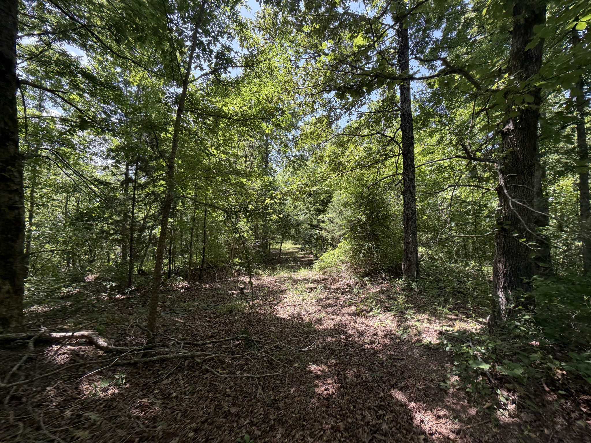 215 Bar Bee Road Hohenwald, TN 38462 - Photo 30 of 51