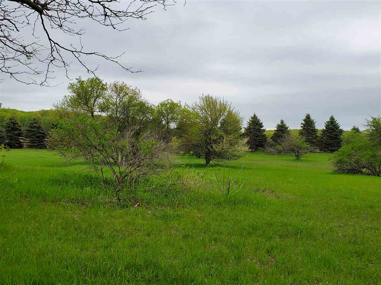 21074 Dougherty Road Copemish, MI 49625 - Photo 4 of 43 1855852-3.JPG