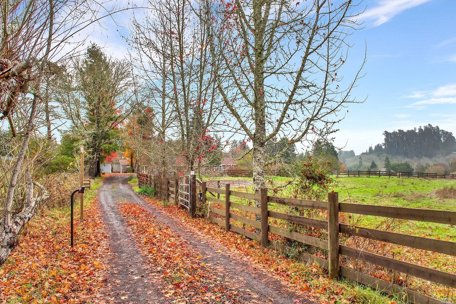 375 Montgomery Road Sebastopol, CA 95472 - Photo 1 of 1 a view of park with tree