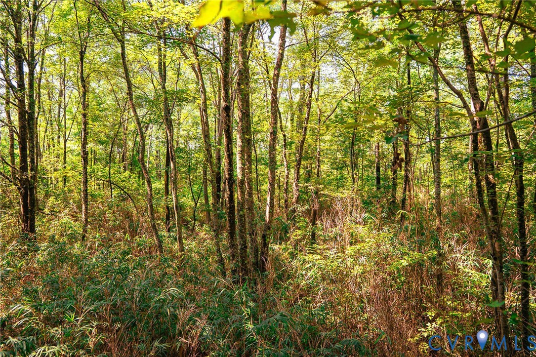 663.8-acres Peach Road Chesapeake, VA 23321 - Photo 35 of 48 Gallery Image 35