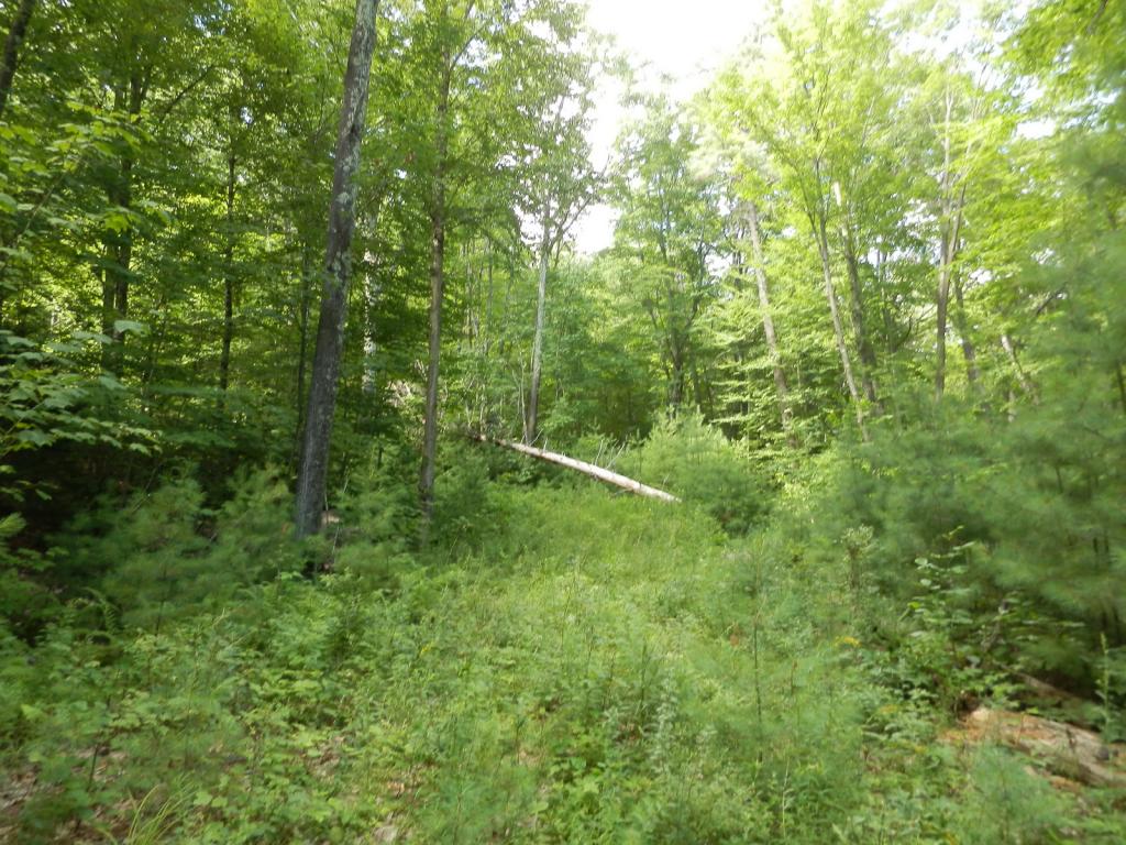 Lot 15 Valley View Road Easton, NH 03580 - Photo 22 of 30 Gallery Image 22