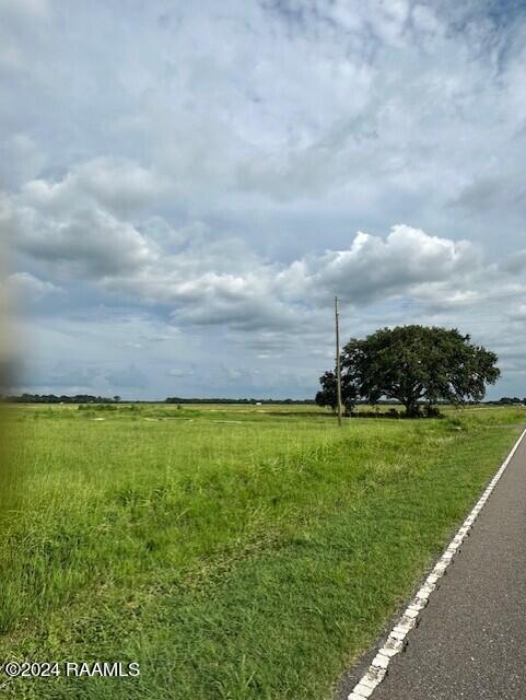 2707 Riceland Road Rayne, LA 70578 - Photo 5 of 9
