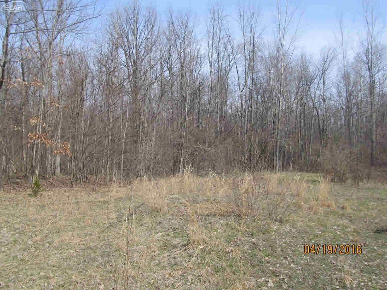 4412 Chambers Road Mayville, MI 48744 - Photo 4 of 9