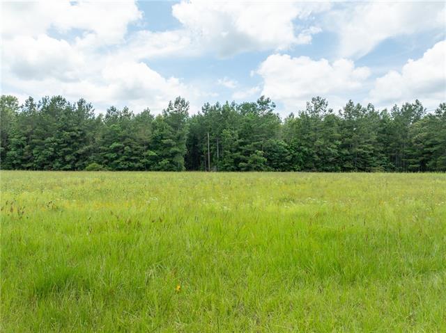 81 Agate Road Glenmora, LA 71433 - Photo 3 of 19