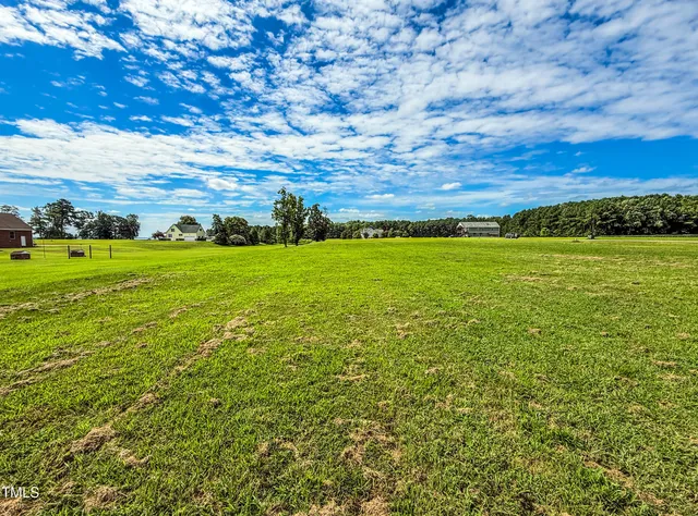a view of an ocean from a yard