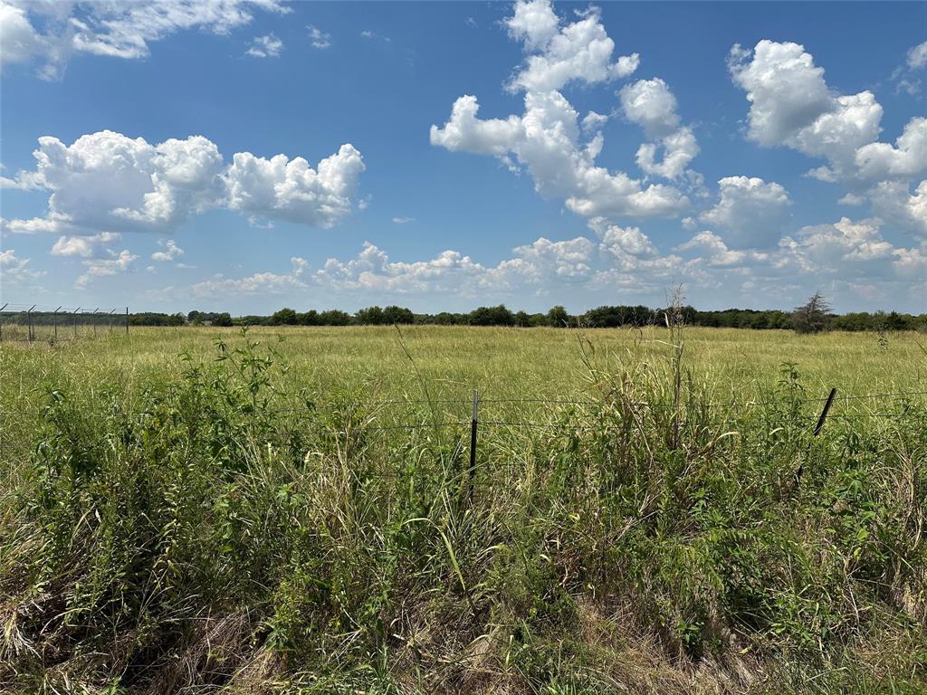 Lot 6 Rutledge Road Whitewright, TX 75491 - Photo 10 of 25