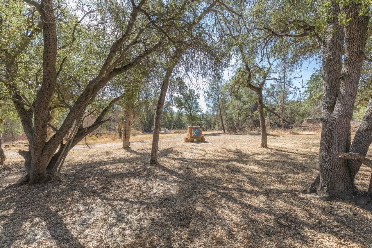 3989-AB Buckeye Road Mariposa, CA 95338 - Photo 54 of 80 Gallery Image 54