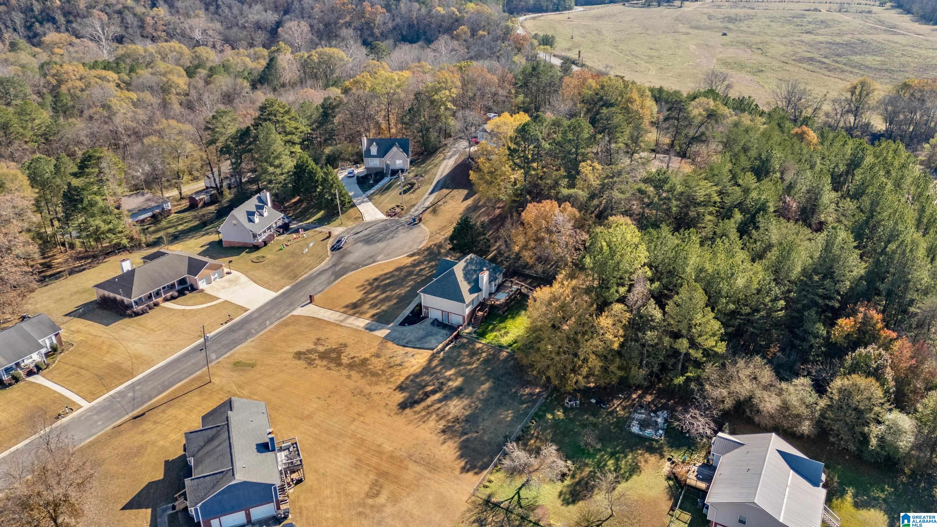 7808 Summer Circle Morris, AL 35116 - Photo 46 of 56