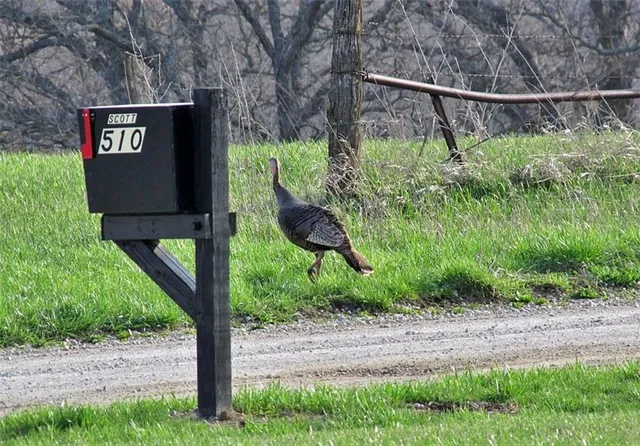 $300,000 | 510 Northwest 100th Street, Spickard, MO 64679