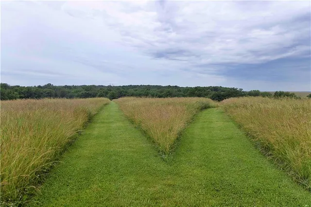 $300,000 | 510 Northwest 100th Street, Spickard, MO 64679