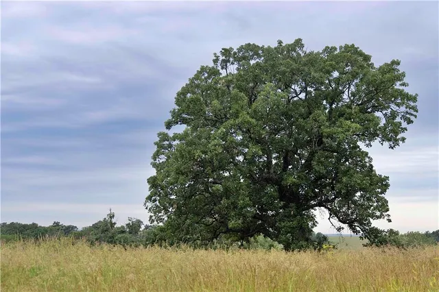 $300,000 | 510 Northwest 100th Street, Spickard, MO 64679