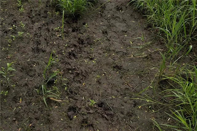 $300,000 | 510 Northwest 100th Street, Spickard, MO 64679