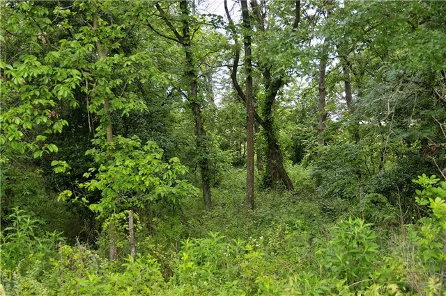 $300,000 | 510 Northwest 100th Street, Spickard, MO 64679