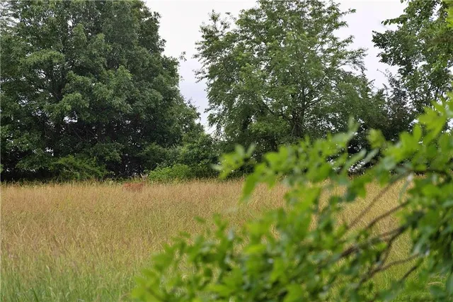 $300,000 | 510 Northwest 100th Street, Spickard, MO 64679