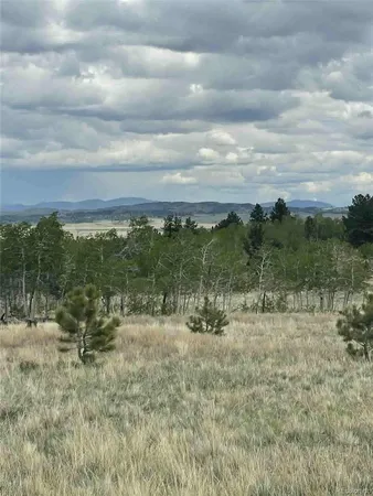 a view of a lake with lots of trees