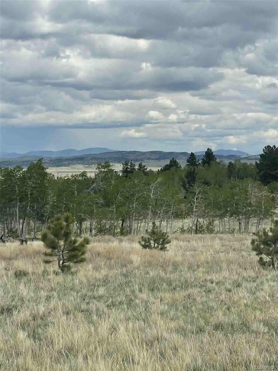 a view of a lake with lots of trees