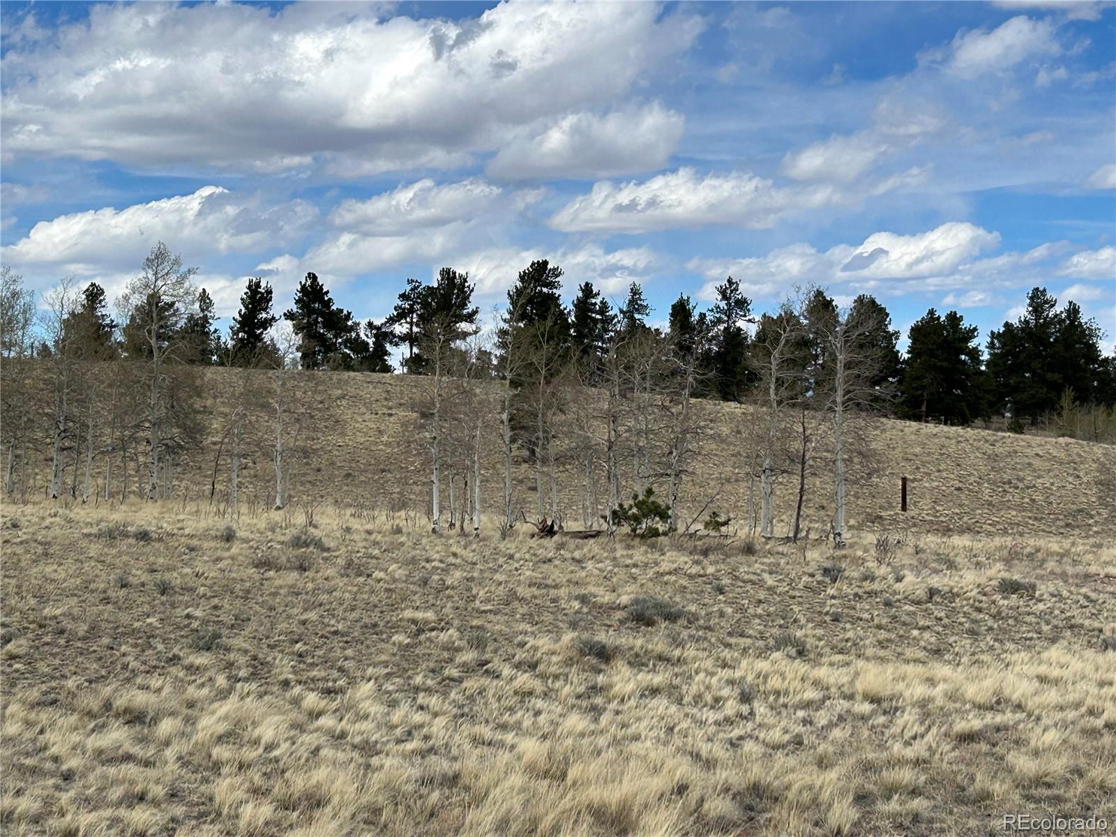 187 Angus Circle Hartsel, CO 80449 - Photo 11 of 11 a view of a lake view