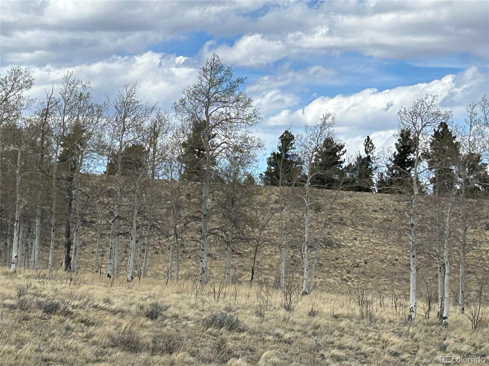 187 Angus Circle Hartsel, CO 80449 - Photo 2 of 11 a view of a dry yard with trees
