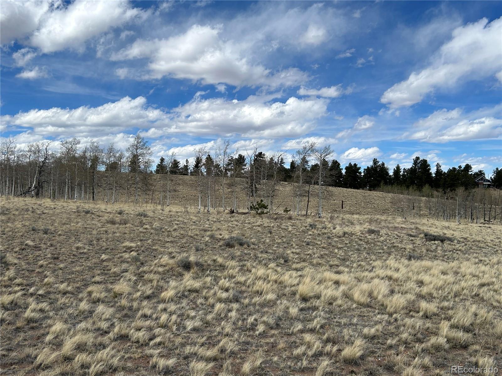 187 Angus Circle Hartsel, CO 80449 - Photo 3 of 11 a view of a lake with lots of green space