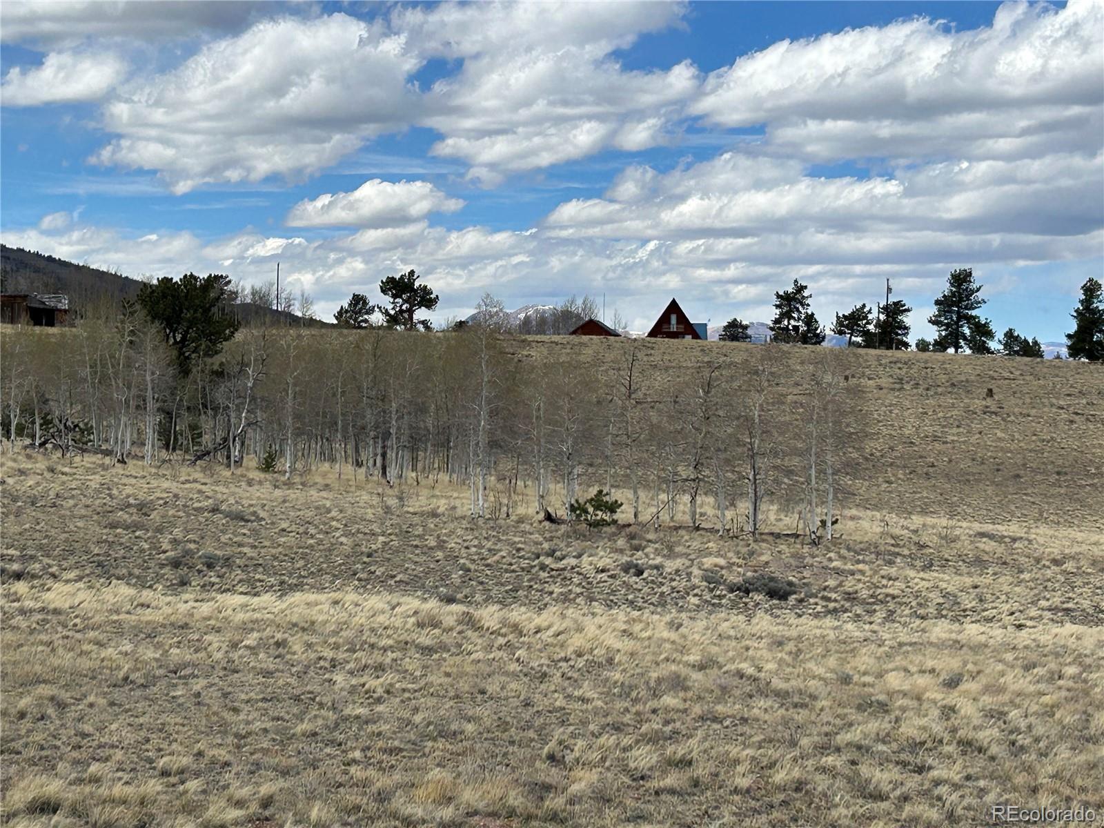 187 Angus Circle Hartsel, CO 80449 - Photo 6 of 11 a view of a town with trees in the background