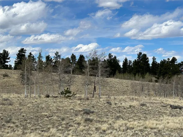 a view of a lake with lots of trees