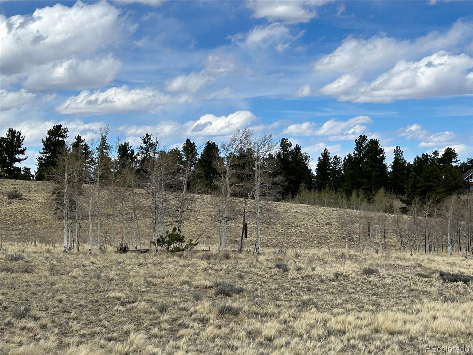 187 Angus Circle Hartsel, CO 80449 - Photo 7 of 11 a view of a lake with lots of trees