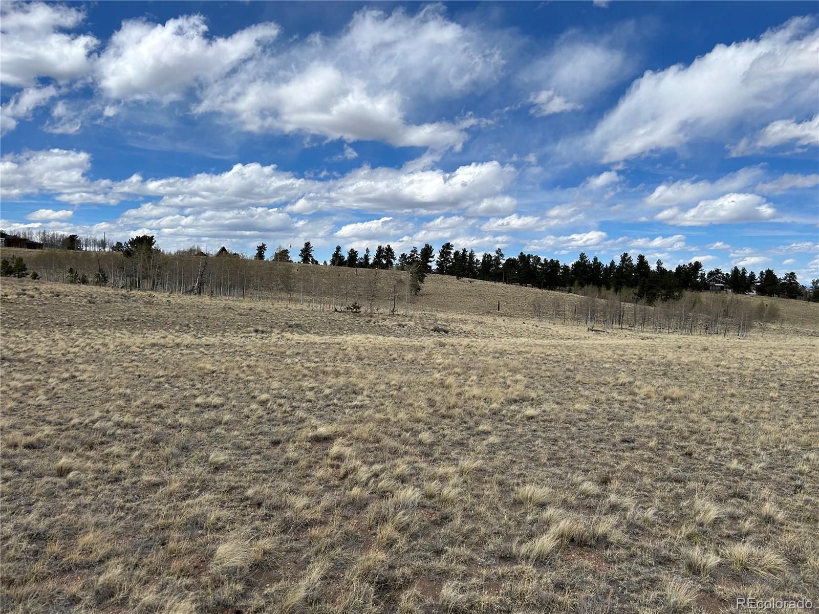 187 Angus Circle Hartsel, CO 80449 - Photo 8 of 11