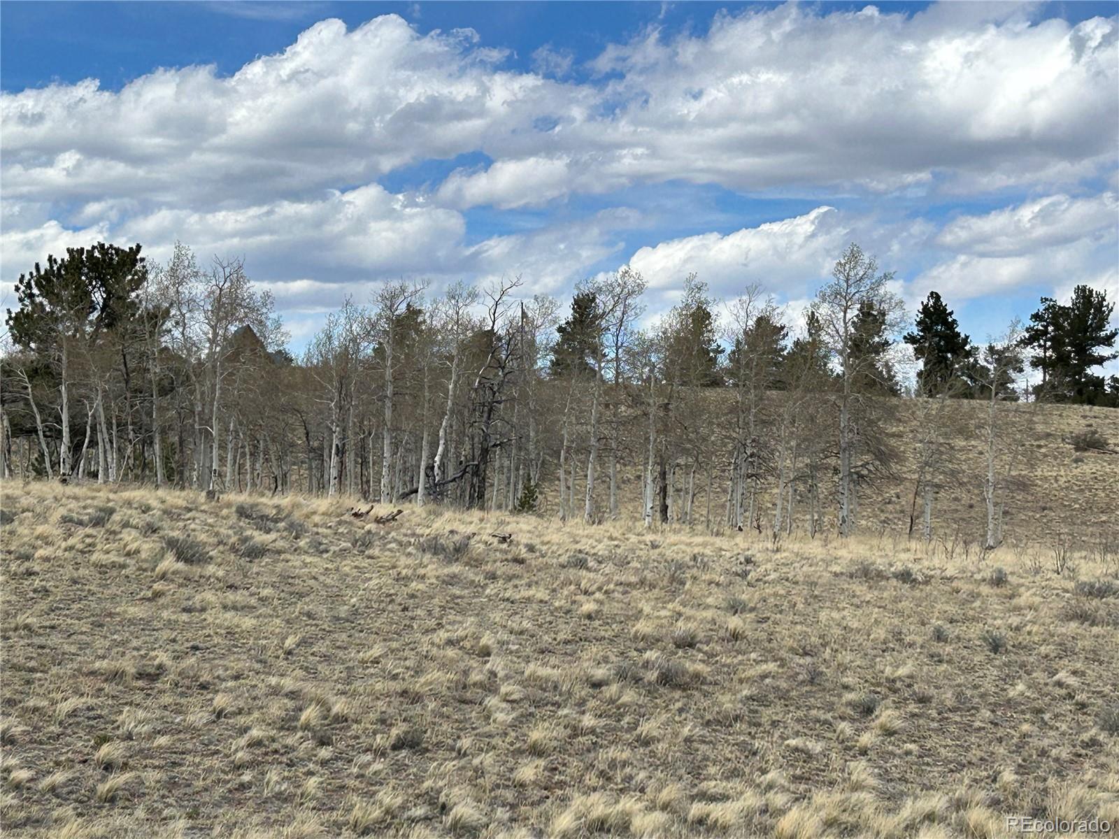 187 Angus Circle Hartsel, CO 80449 - Photo 10 of 11 a view of a dry yard