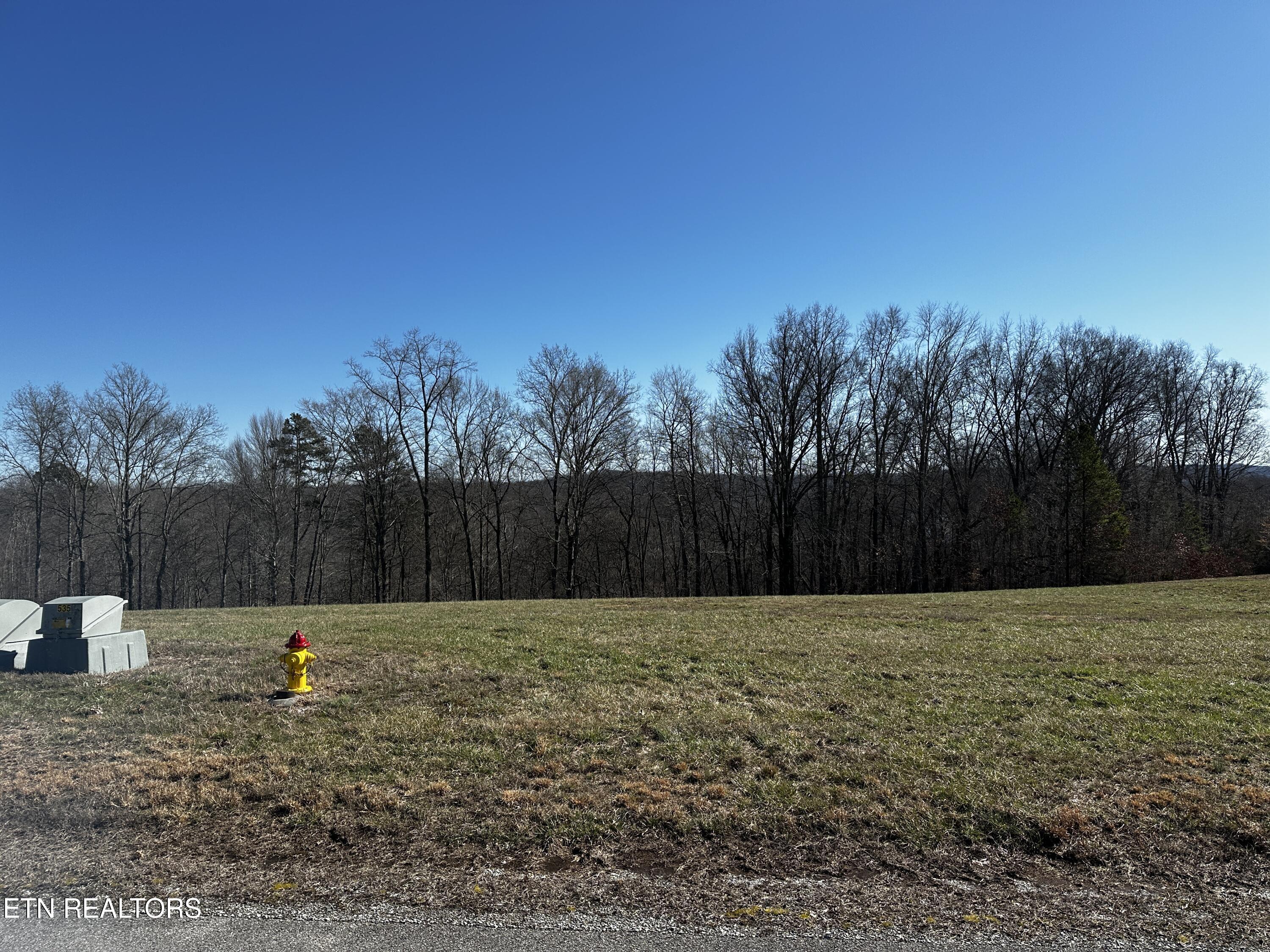 535 Prestige Ridge La Follette, TN 37766 - Photo 28 of 31 IMG_2095