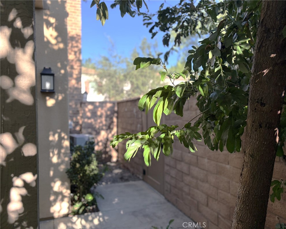 178 Working Ranch Irvine, CA 92602 - Photo 30 of 42 a picture of a tree