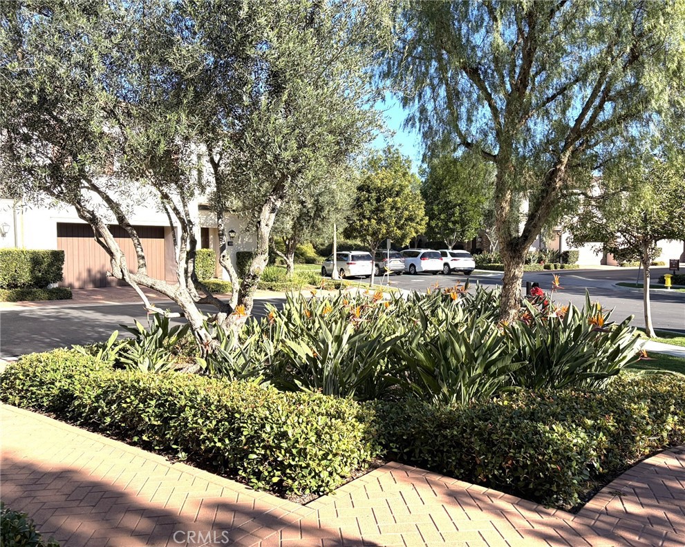 178 Working Ranch Irvine, CA 92602 - Photo 33 of 42 a view of a garden with flowers