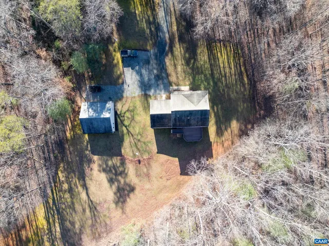 a view of a forest with trees in the background
