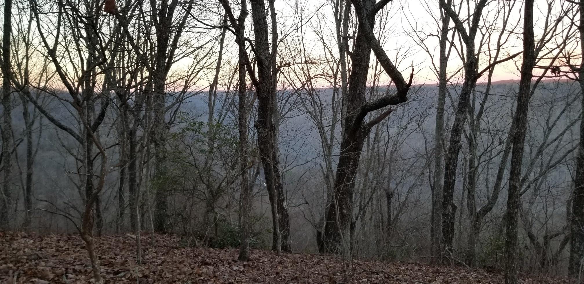 9 Eagle Rock Road, Unit LOT 9 Monteagle, TN 37356 - Photo 4 of 11 20190110_175428_resized