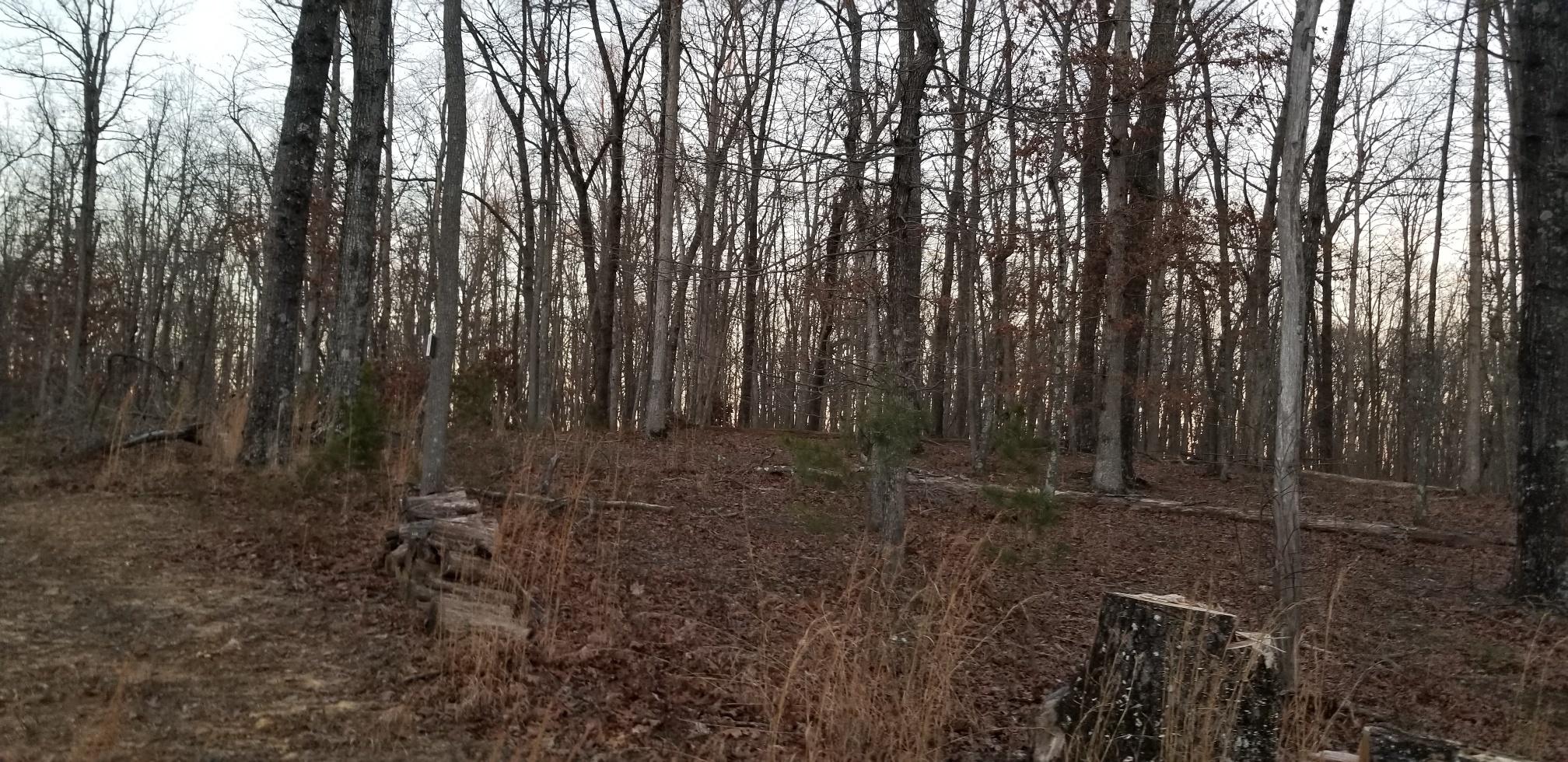 9 Eagle Rock Road, Unit LOT 9 Monteagle, TN 37356 - Photo 7 of 11 20190110_175022_resized