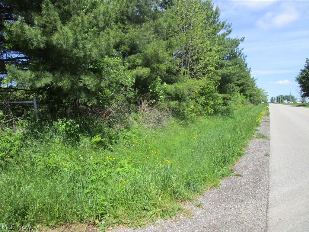 Vl Doyle Road Jefferson, OH 44047 - Photo 5 of 42