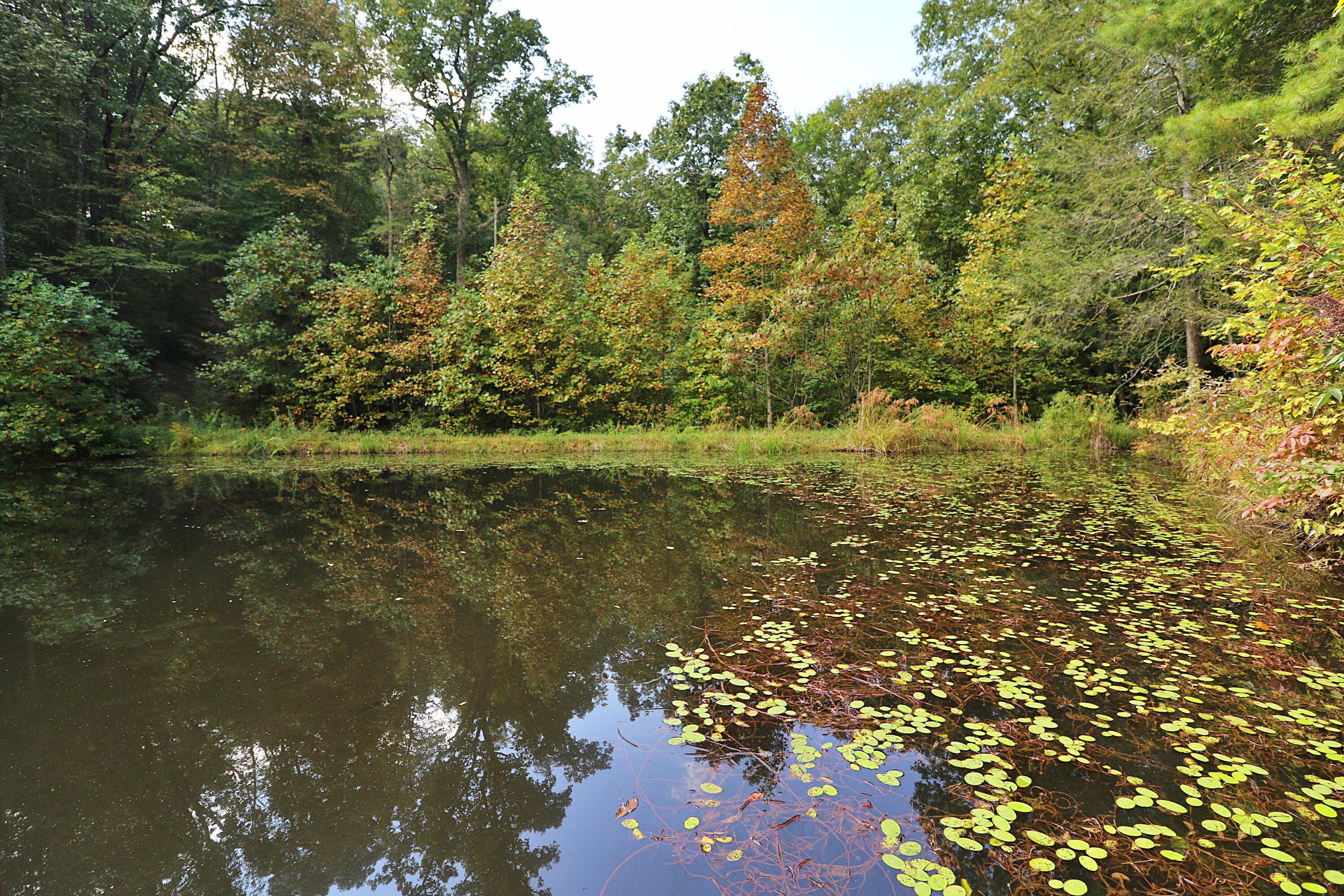 565 John J Smith Road Oneida, TN 37841 - Photo 34 of 35 094A6854