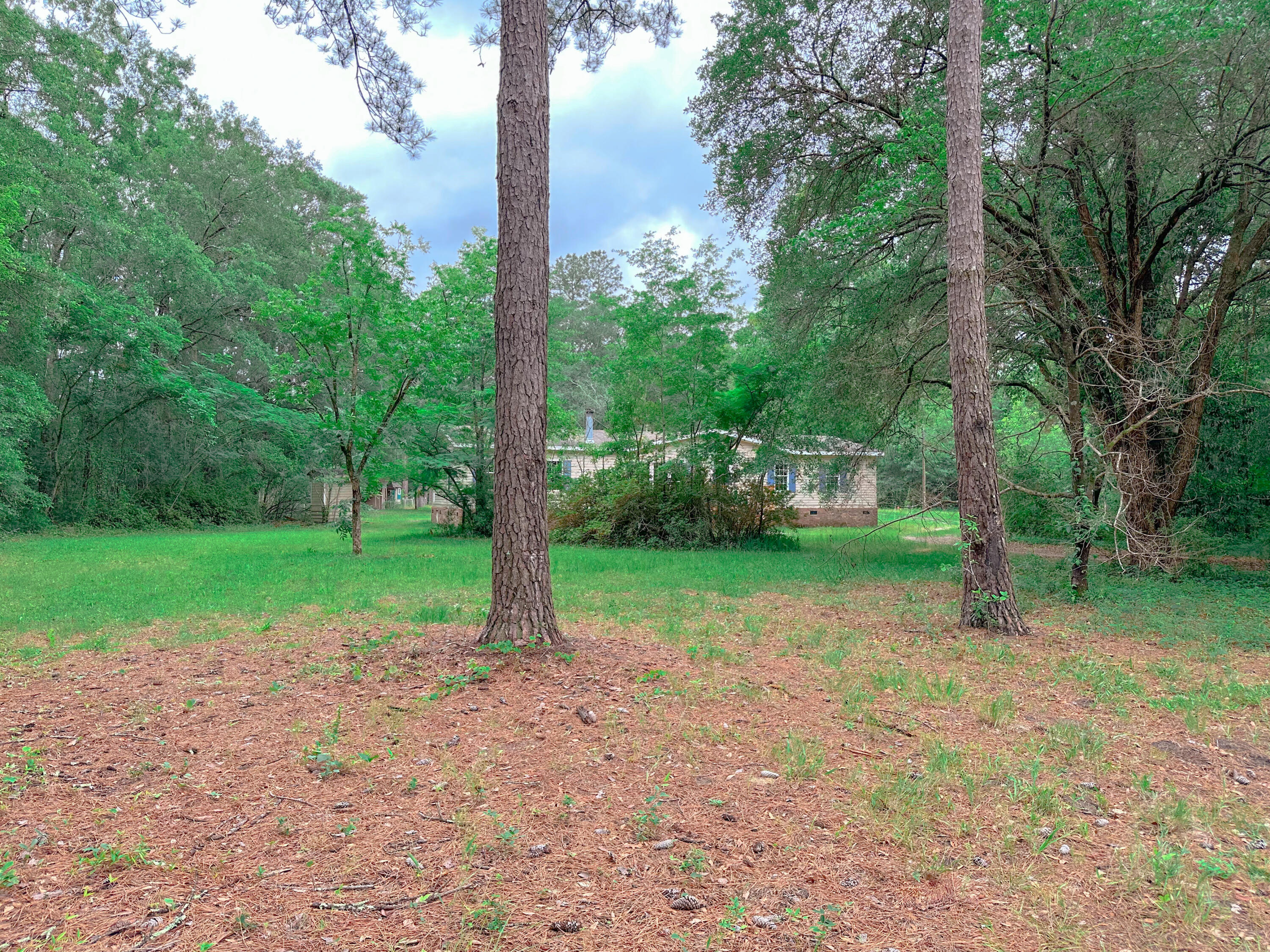 1745 Sandridge Road Dorchester, SC 29437 - Photo 3 of 59 7DF0EF9A-0D28-40B3-88C1-30E284A47C7D