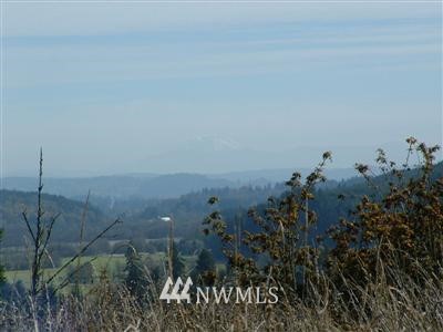 0 Arnold Road Southwest Rochester, WA 98579 - Photo 1 of 1