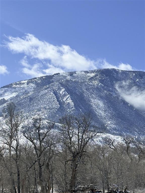 409 North Tolman Road Powell, WY 82435 - Photo 95 of 116 Gallery Image 95