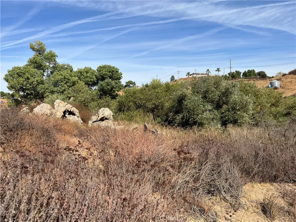 0 Menifee Road Murrieta, CA 92563 - Photo 13 of 20 a view of a bunch of trees in a field