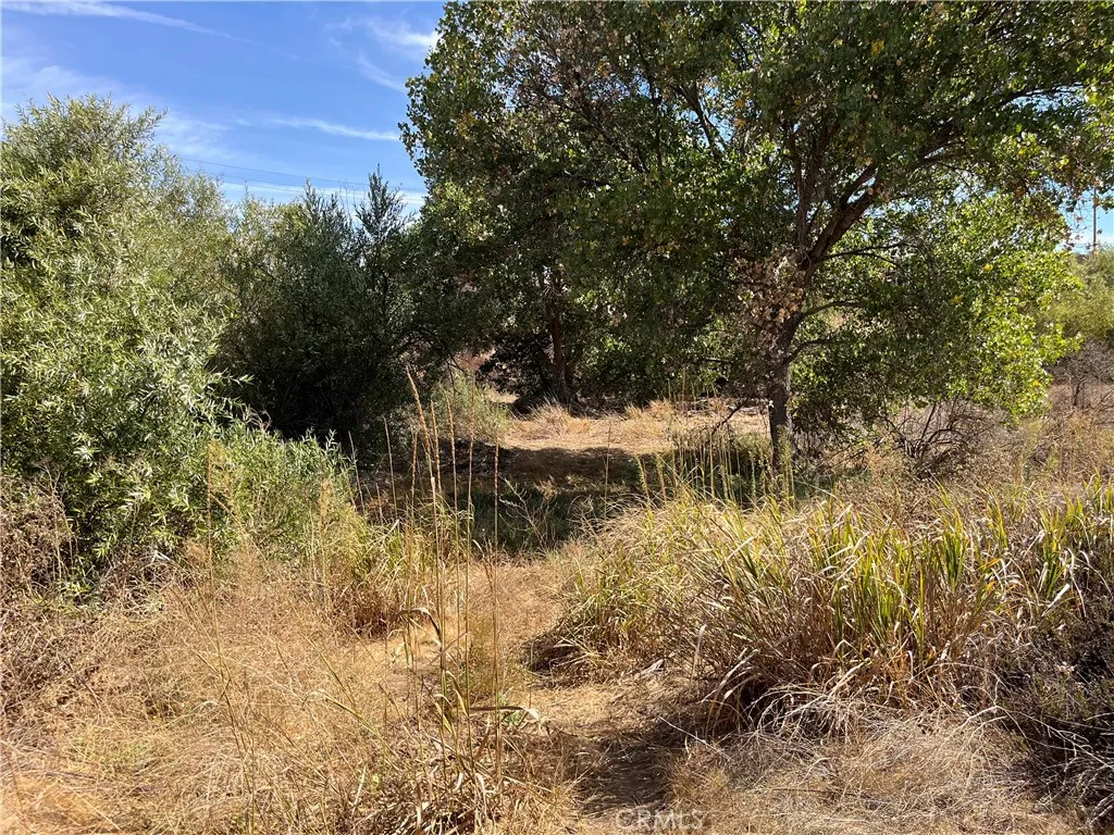 0 Menifee Road Murrieta, CA 92563 - Photo 18 of 20 a view of a lake with a tree