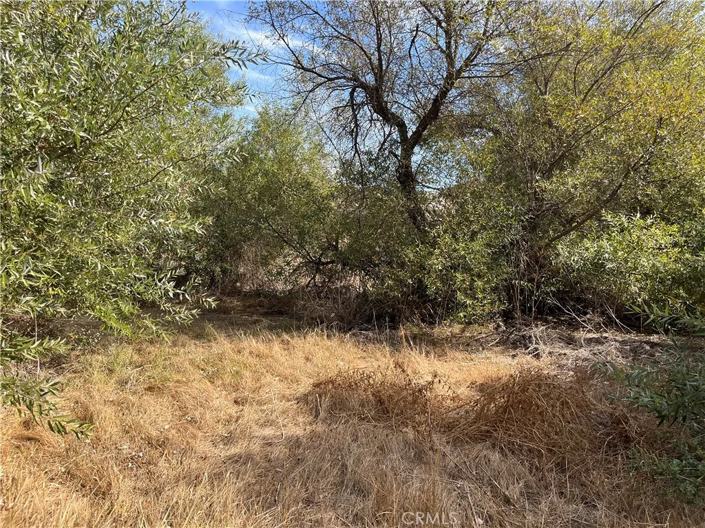 0 Menifee Road Murrieta, CA 92563 - Photo 19 of 20 a view of a yard with trees