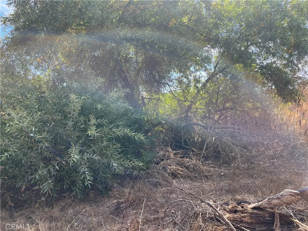 0 Menifee Road Murrieta, CA 92563 - Photo 2 of 20 a view of a forest with trees in the background